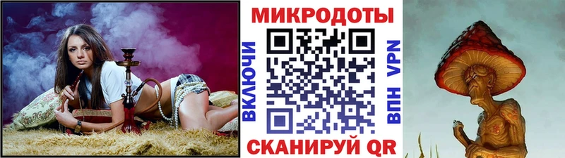 Псилоцибиновые грибы Psilocybe  Дмитровск 